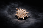 THE MORNING STAR — Eight-Ray Star Charm