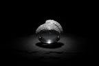 SNAKE OF DAWN — Sterling Silver Ring