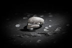 SNAKE OF DAWN — Sterling Silver Ring